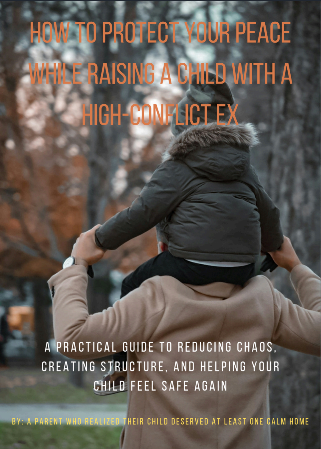 How to Protect Your Peace While Raising A Child with a High-Conflict Ex